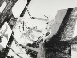 https://christopherlori.com/files/gimgs/th-11_2007-18-38x50inches-charcoal on paper.jpg